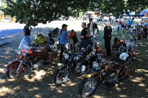 Some of the gang take a break in the shade at the Gisborne Sunday market.